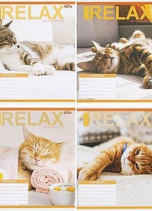 Тетрадь цветная на 18 листов клетка "relax catʼs" (20 шт)