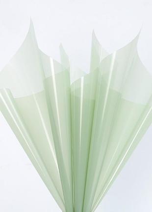 Калька для цветов "glossy" 58×58 см зеленая, упаковка 20 шт #081