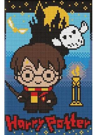 Алмазная мозаика без подрамника - harry potter: тайны тёмного замка ©warner bros