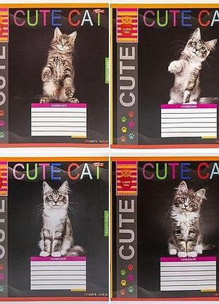 Тетрадь цветная на 12 листов клетка "cute cat" (20 шт)
