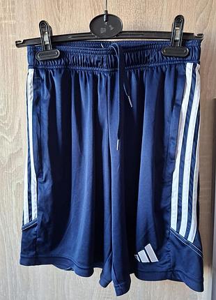 Синие мужские спортивные шорты для тренировок adidas tiro размер s
