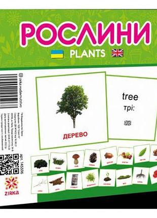 Мини карточки "мир растений" (укр)