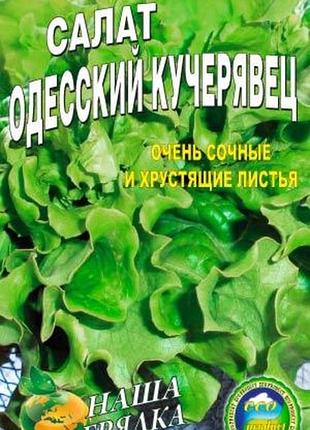 Салат одеський кучерявець 1500 насіння. середньо пізній сорт.