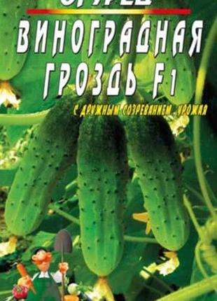 Огурец виноградная гроздь f1 30 семян. ультраранний гибрид.