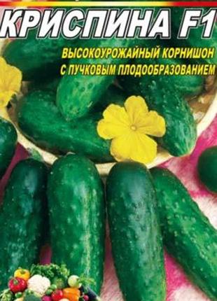 Огурец криспина f1 30 семян. ранний самоопыляемый гибрид.