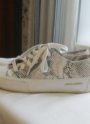 Кожаные кроссовки candige cooper италия