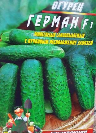 Огурец герман f1 30 семян. ультраранний гибрид.