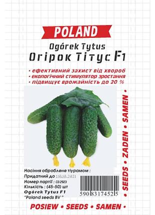 Огурец титус f1 (драж) 45-50 семян. среднеспелый гибрид корнишенного типа польской селекции.