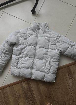 Осіння куртка us.polo assn