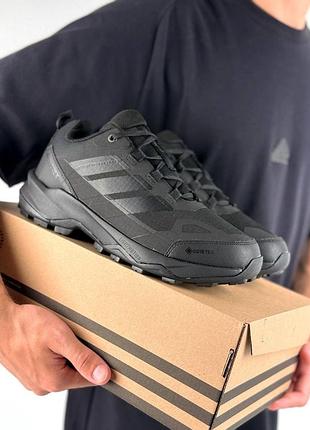Чоловічі кросівки adidas terrex skychaser ax5 gtx all black