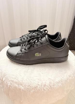 Кросівки lacoste