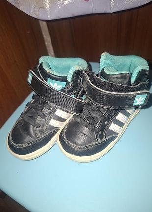 Ботиночки осенние размер 22 adidas 3