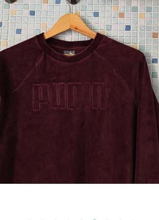 Оксамитовий світшот puma 4