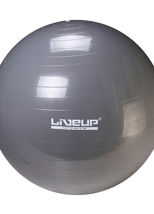 Фітбол liveup gym ball