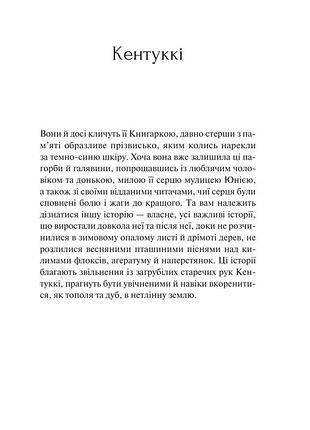 Донька книгарки кім мішель річардсон 3