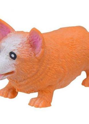 Игрушка-антистресс "тянучка корги", 10 см
