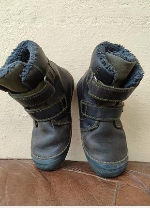 Зимові черевики dd step barefoot 6