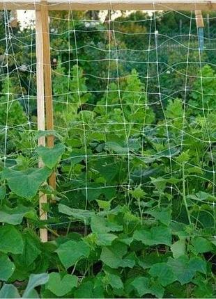 Сетка обоевая 15*17"agrostar"1.7*500 м 3