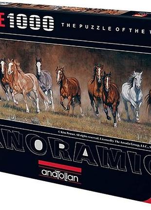 Пазл панорама свобода 1000 елементів anatolian