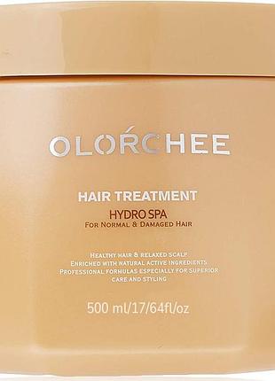 Маска для интенсивного увлажнения волос hydro spa hair treatment olorchee, 500 мл
