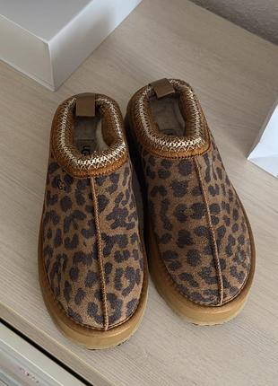 Теплі капці ugg оригінальні 3