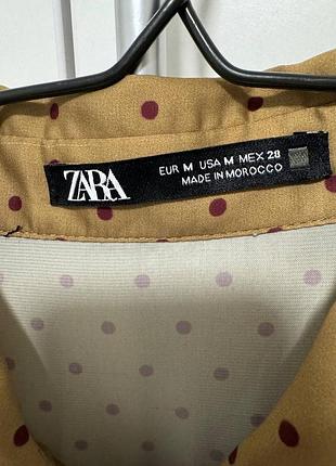 Саня ві zara 3