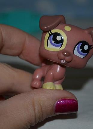 Фирменная фигурка пет шоп pet shop игрушки зоомагазин littlest pet shop lps щеня собачка стоячка