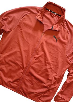 Кофта олимпийка puma (original) xxl 4