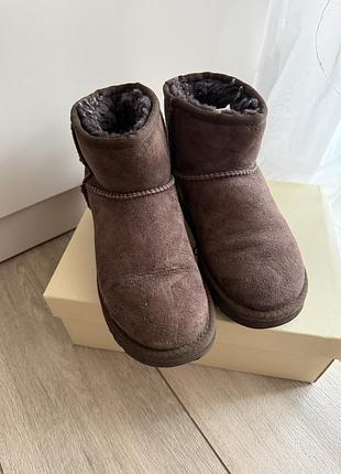 Ugg оригінальний коричневий колір