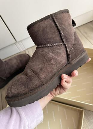 Ugg оригінальний коричневий колір 5