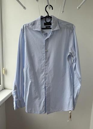 Світло-блакитна сорочка massimo dutti в мікросмужку (100% бавовна, made in spain)