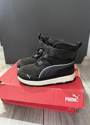 Чобітки puma