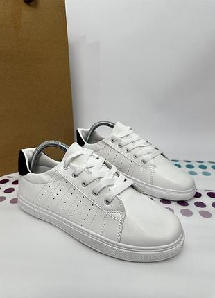 Кеды женские fashion, низкие, (37-41)