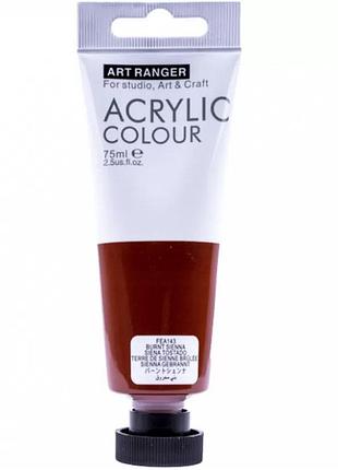 Акрилова фарба art ranger "burnt sienna" пласт туб 75мл