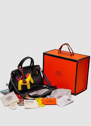 💎 hermes birkin 20 black 4