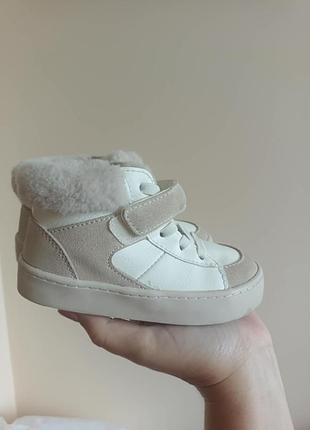 Хайтопи 24 7