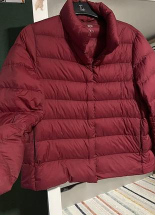 Ультра легкий пуховик uniqlo