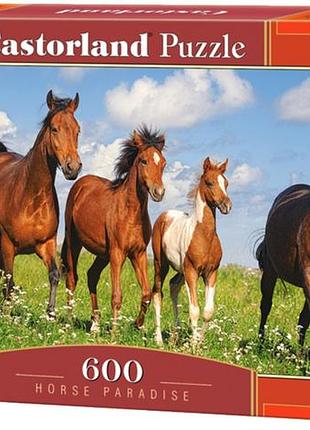 Пазл коні 600 деталей castorland