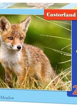 Пазл маленькая лиса на лугу 260 деталей castorland