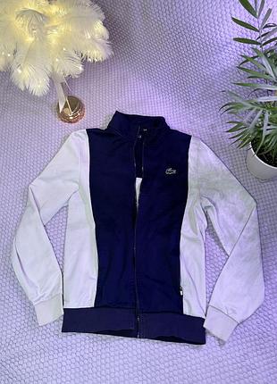 Чоловіча кофта від lacoste 2