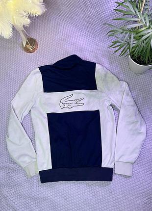 Чоловіча кофта від lacoste 3
