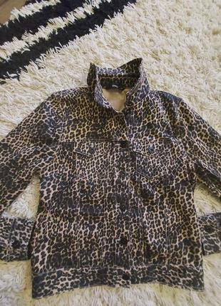 Піджак леопардовий сорочка джинсова курточка леопардова5 фото