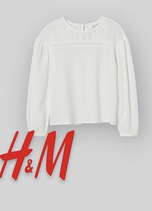 Блузка сорочка рубашка для дівчинки h&m