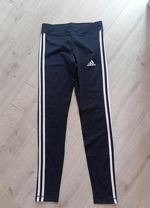 Спортивні лосіни від adidas на 13-14років