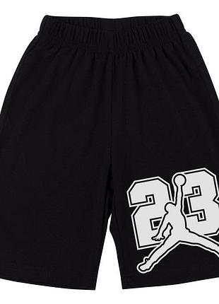 Мужские шорты jordan xl