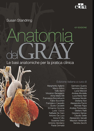 Енциклопедія анатомії людини anatomia del gray 2 базові анатомічні основи для клінічної практики