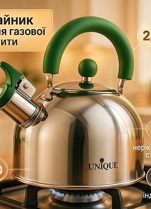 Чайник для приготування напоїв зі свистком unique un-5302 2.5 л чайник для плити зі свистком чаю yx-28