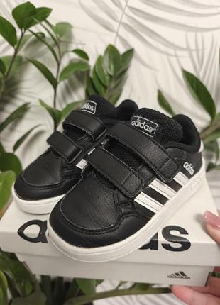 Кеди для хлопчика, adidas, розмір 23
