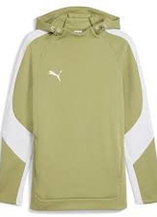 Худи puma teamevostripe hoody 659954-40