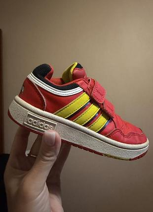 Кеди adidas